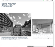 Screenshot Berell Kräutler-Website